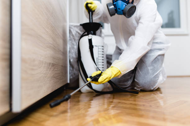 Trusted East Lake, FL Pest Control Experts