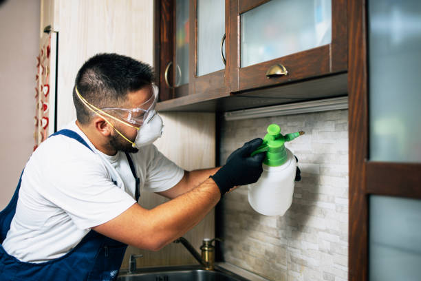 Best Best Pest Control Companies  in East Lake, FL