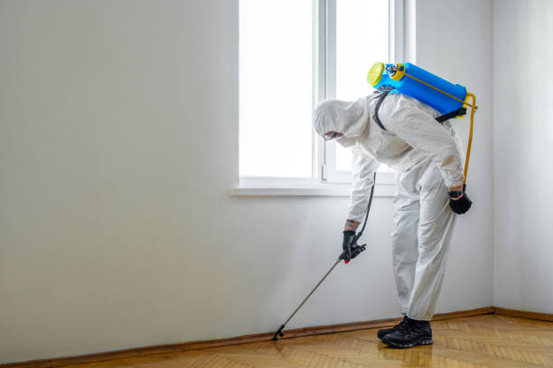 Trusted East Lake, FL Pest Control Experts