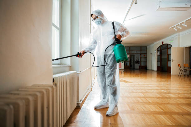 Best Bed Bug Extermination  in East Lake, FL
